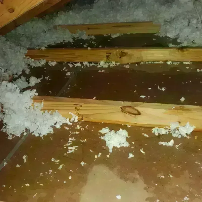 Attic Water Damage in Edgewater Park, NJ