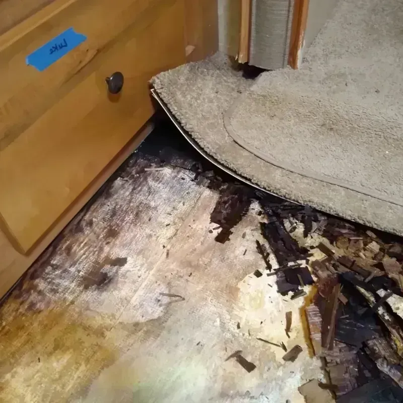 Wood Floor Water Damage in Edgewater Park, NJ